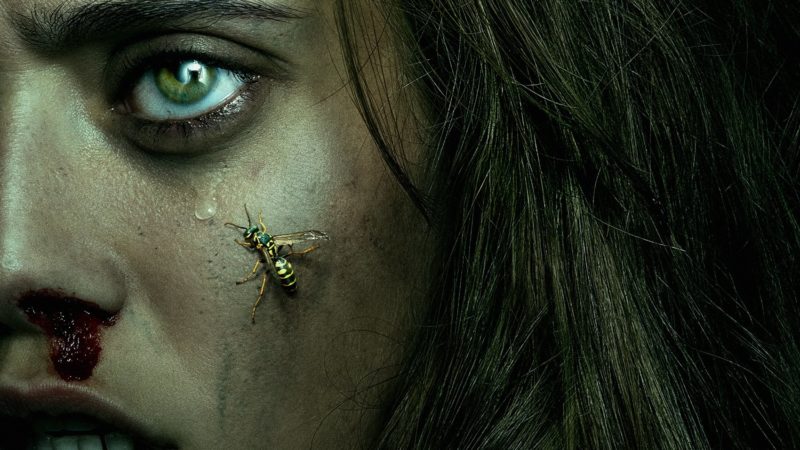 Imagem de divulgação de Yellowjackets 