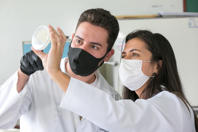 Nos Estados Unidos, a prote&iacute;na criada pelos pesquisadores catarinenses est&aacute; sendo testada para fins de diagn&oacute;stico e tratamento – Foto: Rodolfo Esp&iacute;nola / Ag&ecirc;ncia AL/ND