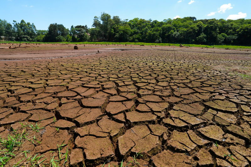 Seca no Brasil resultou na perda de área equivalente a 3,2 milhões de piscinas olímpicas. Na imagem, um território seco e com rachaduras