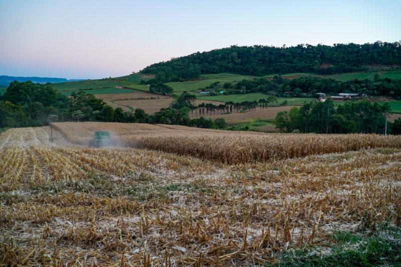 Agroneg&oacute;cio enfrenta uma forte concorr&ecirc;ncia do mercado local franc&ecirc;s – Foto: Ricardo Wollfenbuttel/Governo de SC/ND