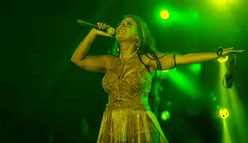 A morte da cantora Paulinha pode ser usada por especialistas para buscar evitar novos casos. – Foto: Arquivo/Divulga&ccedil;&atilde;o