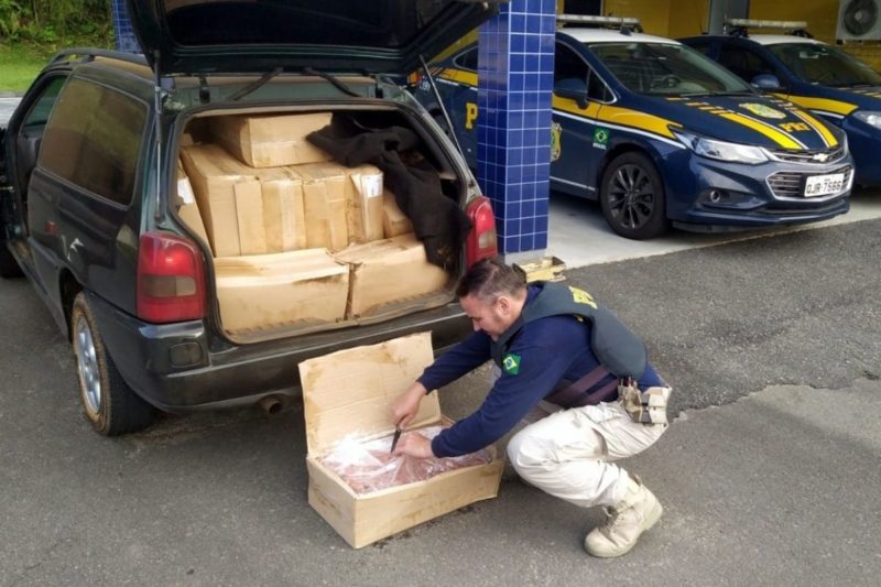 Apreens&atilde;o aconteceu na manh&atilde; desta ter&ccedil;a-feira (15), na BR-280 – Foto: PRF/Divulga&ccedil;&atilde;o/ND