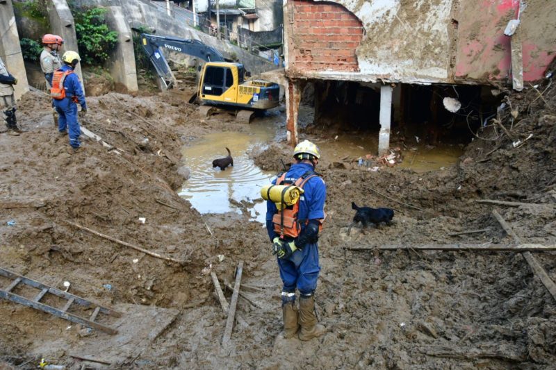 Bin&ocirc;mios encontraram seis corpos desde a &uacute;ltima quarta-feira (23) – Foto: CBMSC/Divulga&ccedil;&atilde;o/ND