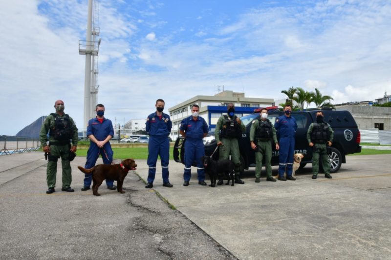 Equipe parte para Petr&oacute;polis em a&ccedil;&atilde;o de apoio &agrave;s v&iacute;timas da trag&eacute;dia – Foto: CBMSC/Divulga&ccedil;&atilde;o/ND