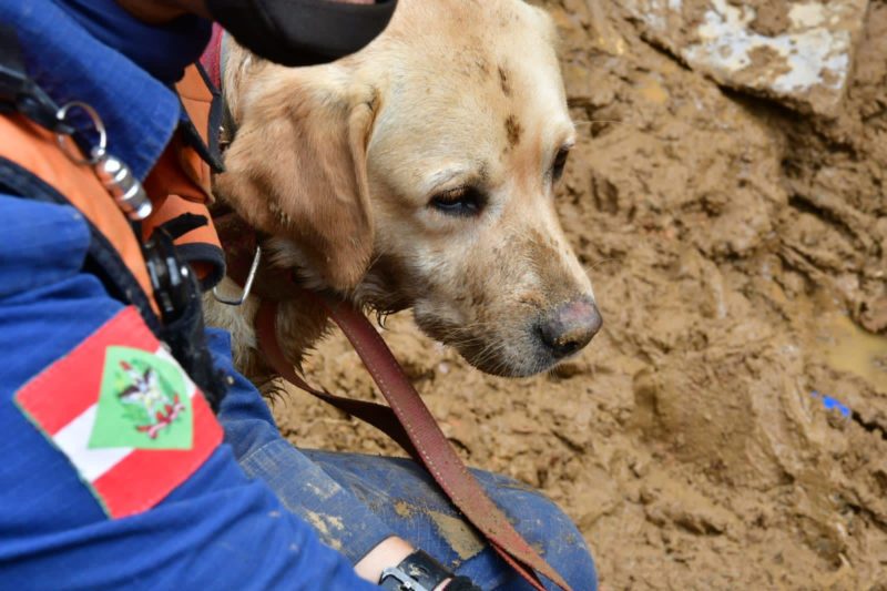Dupla faz parte da equipe enviada de SC para Petr&oacute;polis – Foto: Soldado De Souza/CBMSC/Divulga&ccedil;&atilde;o