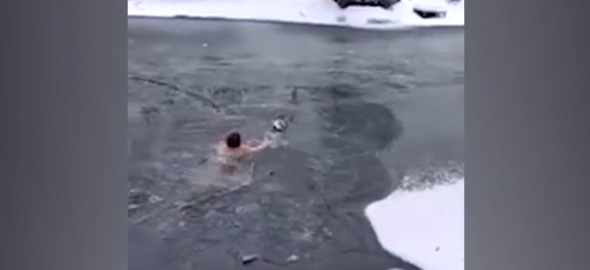 Cachorro foi salvo de lago congelado – Foto: Reprodu&ccedil;&atilde;o/Internet