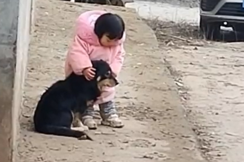 Menina é vista protegendo cachorro do barulho de fogos de artifício