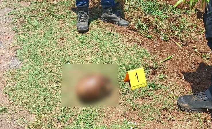 Resto mortal foi encontrado no interior de Chapec&oacute; &mdash; Foto: Pol&iacute;cia Civil/Divulga&ccedil;&atilde;o/ND