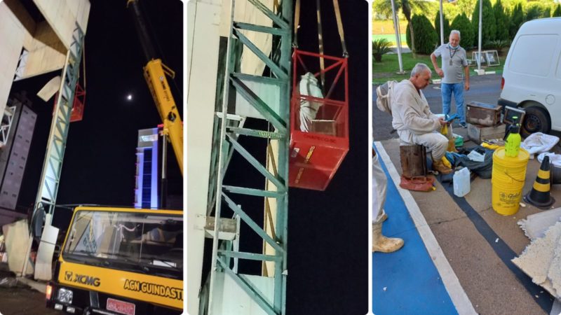 O trabalho de rescaldo dos apicultores foi feito com a ajuda de um guindaste – Foto: Gide&atilde;o Cesco/Divulga&ccedil;&atilde;o/ND