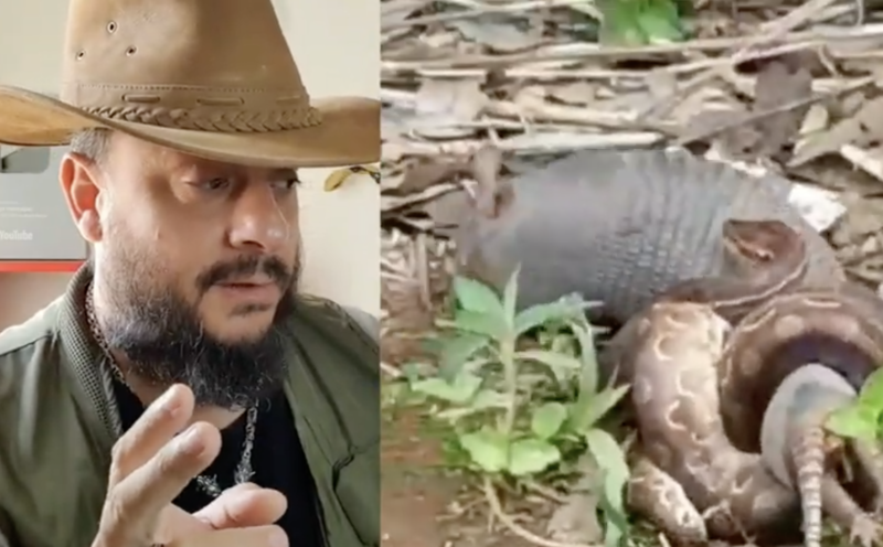 (Vídeo) Biólogo é atacado por serpente enquanto gravava vídeo em