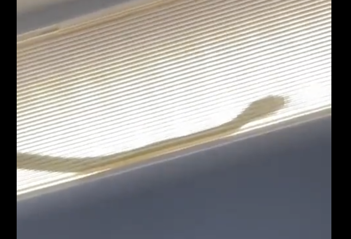 Cobra foi filmada deslizando dentro da lumin&aacute;ria do avi&atilde;o com os passageiros em p&acirc;nico – Foto: Reprodu&ccedil;&atilde;o