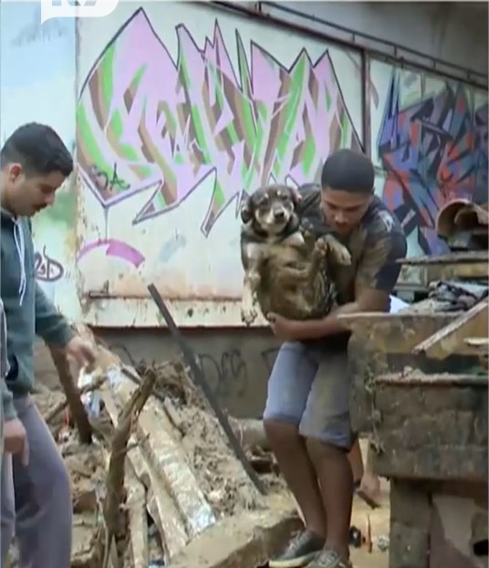 Carlos Menezes recuperou Pitoco na tag&eacute;dia – Foto: Portal R7/Reprodu&ccedil;&atilde;o/ND