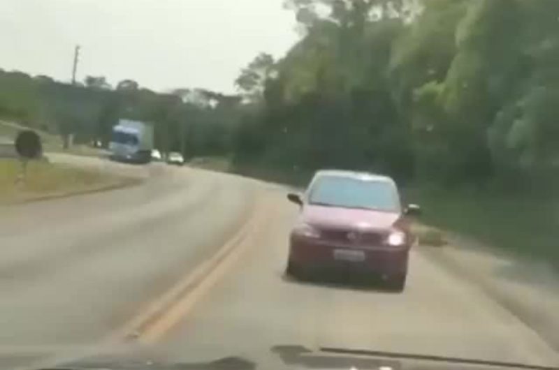 Motorista dirige de r&eacute; por 2 km em Chapec&oacute; &mdash; Foto: Internet/ND