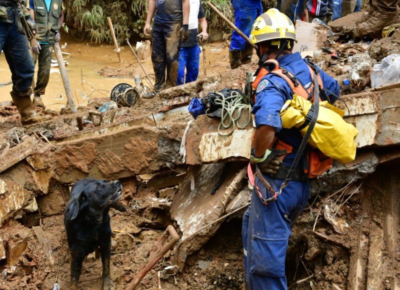 Dupla catarinense, formada por bombeiro militar e c&atilde;o de resgate, realiza busca em Petr&oacute;polis. – Foto: Soldado De Souza/CBMSC/Divulga&ccedil;&atilde;o/ND