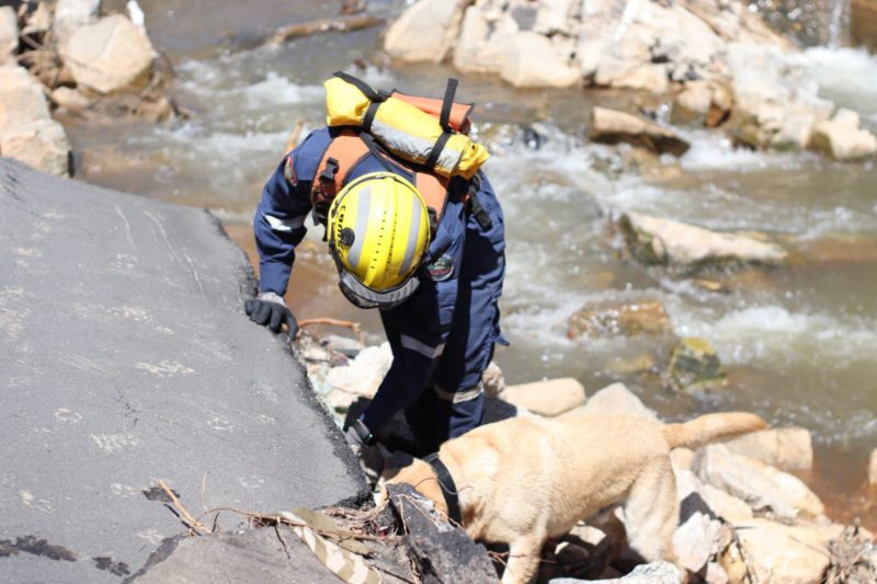 Bombeiros de SC foram para o RJ apoiar nas buscas e resgates – Foto: CBMSC/Divulga&ccedil;&atilde;o/ND