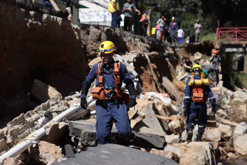 Os bombeiros foram junto dos seus c&atilde;es por terra e outro companheiro auxiliou com um drone – Foto: CBMSC/Divulga&ccedil;&atilde;o/ND