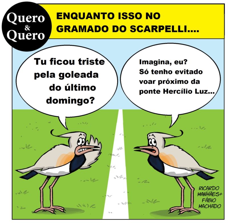 Entre belos rasantes, a &ldquo;corneta&rdquo; da dupla Quero &amp; Quero. – Foto: Ricardo Manh&atilde;es+FabioMachado/ND