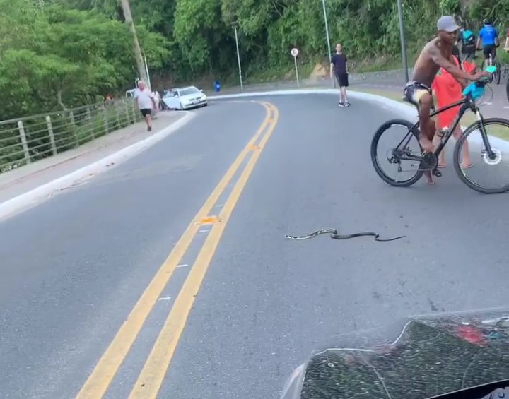 Cobra surpreendeu quem passou pelo local – Foto: Reprodu&ccedil;&atilde;o/Jo&atilde;o Oliveira