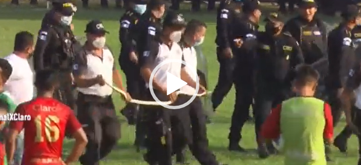 Cobra &eacute; retirada de campo pelos agentes de bombeiros – Foto: Reprodu&ccedil;&atilde;o Internet