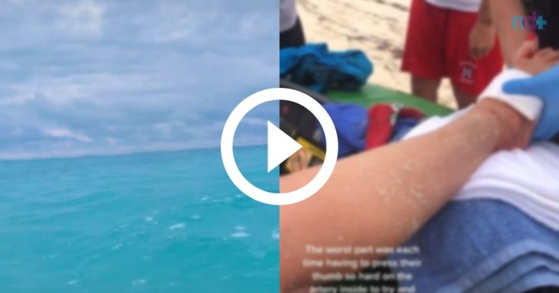 Mulher &eacute; atacada por tubar&atilde;o, mas consegue se salvar dando socos no animal – Foto: Reprodu&ccedil;&atilde;o/Internet/ND