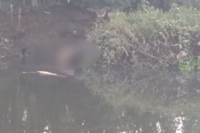 Corpo foi encontrado na manh&atilde; desta quarta-feira (2), pr&oacute;ximo ao terminal de &ocirc;nibus do Guanabara – Foto: Divulga&ccedil;&atilde;o/ND