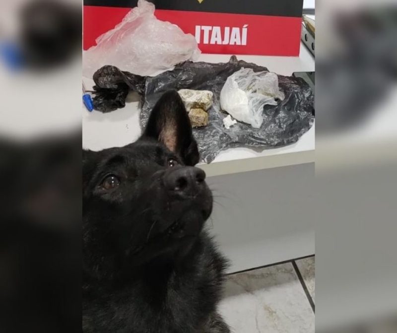 Suspeito tenta fugir, mas acaba preso no Paran&aacute; por comandar ‘delivery’ de drogas em SC – Foto: Pol&iacute;cia Civil/Divulga&ccedil;&atilde;o