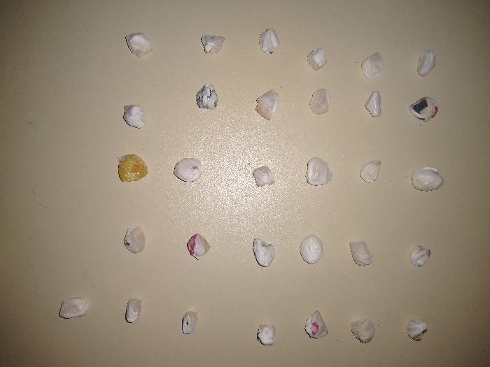 Foram apreendidos 31 pedras de crack e pouco mais de R$ 100 com o casal