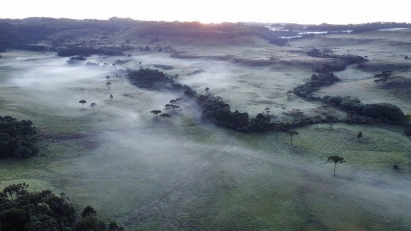 Geadas poder&atilde;o ser registradas neste fim de semana – Foto: Wagner Urbano/Divulga&ccedil;&atilde;o/ND
