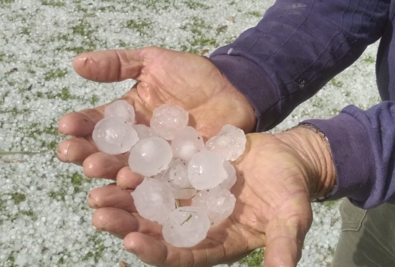 Imagem mostra homem segurando pedras de granizo e imagem é utilizada para alertar sobre o risco de chuva de granizo nesta sexta em SC