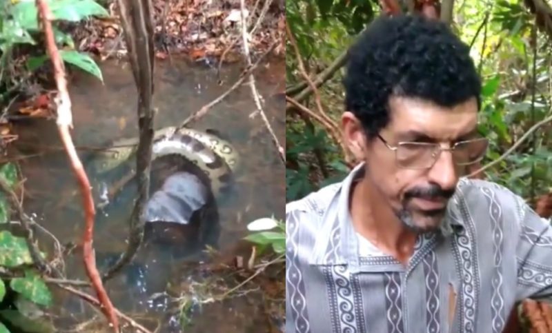 Caso aconteceu no Mato Grosso – Foto: Reprodu&ccedil;&atilde;o/ND