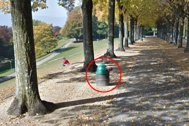 A estrela do TikTok aceita solicita&ccedil;&otilde;es estranhas e obscuras de outros usu&aacute;rios e tenta encontr&aacute;-las no Google Maps. – Foto: Reprodu&ccedil;&atilde;o