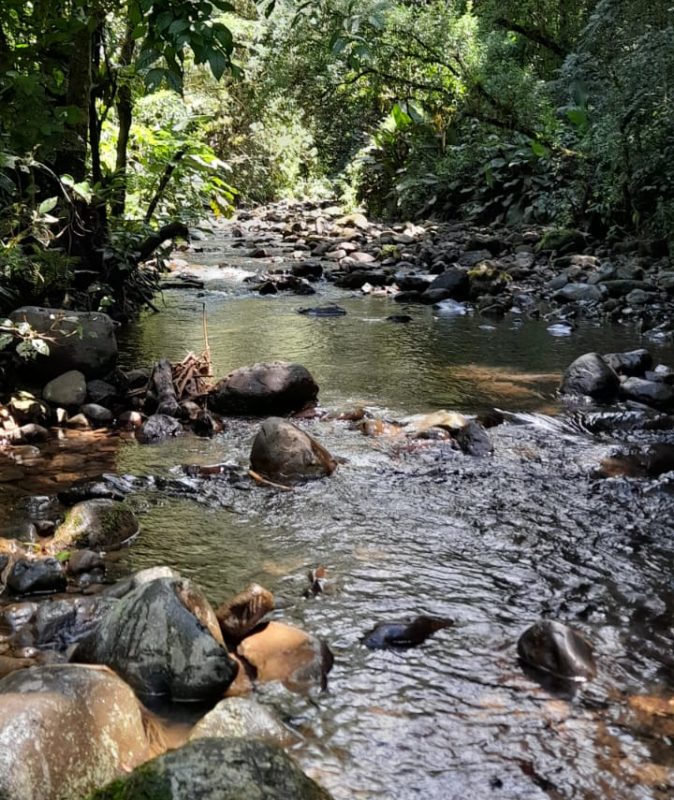 Rio est&aacute; localizado no interior de Orleans em uma propriedade privada – Foto: CBMSC/Divulga&ccedil;&atilde;o/ND