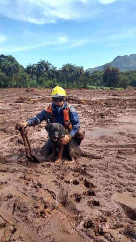 Sargento Rom&atilde;o e Bravo em atua&ccedil;&atilde;o em Brumadinho – Foto: Arquivo/Redes Sociais/Internet/ND