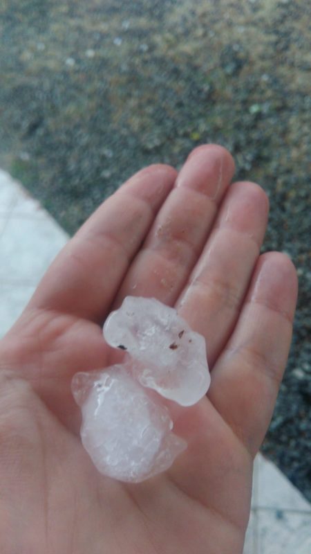 Foto: Internet/Divulga&ccedil;&atilde;o