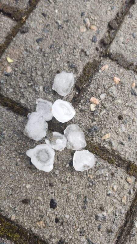 Foto: Adriano Mendes/Divulga&ccedil;&atilde;o ND