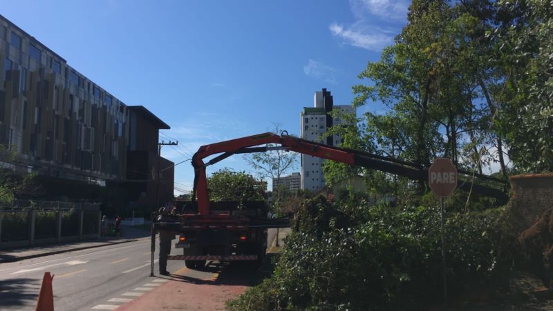 Equipes trabalharam na retirada de &aacute;rvores e galhos que ca&iacute;ram sobre vias p&uacute;blicas – Foto: Secom/Prefeitura de Joinville/Divulga&ccedil;&atilde;o ND