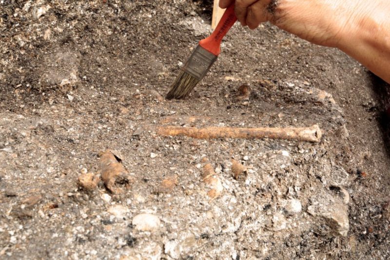 Materiais s&atilde;o catalogados e armazenados no museu – Foto: Prefeitura de Joinville/Divulga&ccedil;&atilde;o