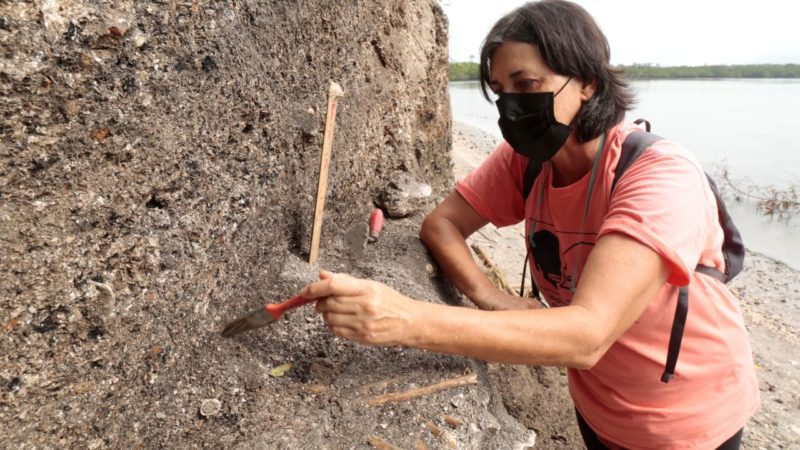 Dione explica que as estacas s&atilde;o achados &uacute;nicos – Foto: Prefeitura de Joinville/Divulga&ccedil;&atilde;o