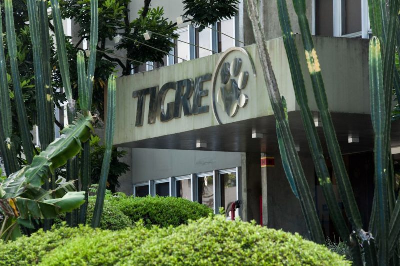 Tigre recebeu investimento bilion&aacute;rio de investidor global – Foto: Divulga&ccedil;&atilde;o