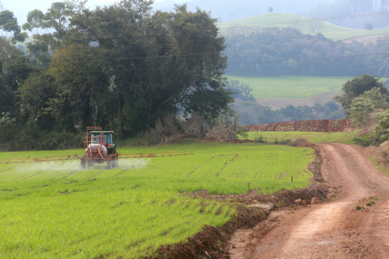 Guerra R&uacute;ssia-Ucr&acirc;nia afeta a agricultura de SC – Foto: Julio Cavalheiro/Governo de SC/ND