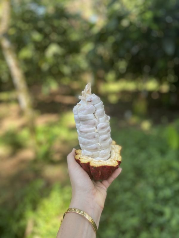 Saiba mais sobre o universo da espiritualidade , do autoconhecimento e a famosa cerimônia do cacau através da entrevista que realizei com Iza Maia