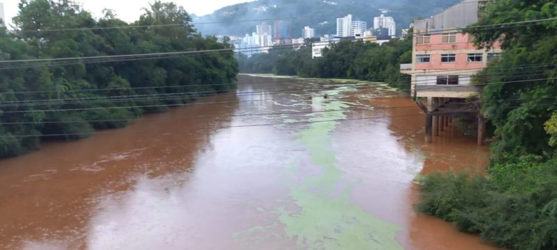 Algas apareceram no Rio do Peixe &mdash; Foto: Portal Eder Luiz/ND