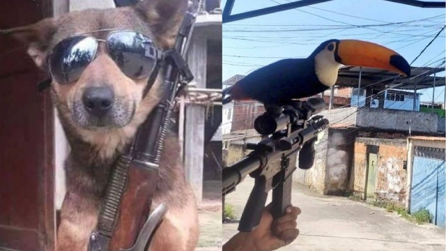 Perfil na web que exibe fotos de animais ao lado de fuzis e pistolas vira alvo da pol&iacute;cia – Foto: Reprodu&ccedil;&atilde;o/Internet/Extra