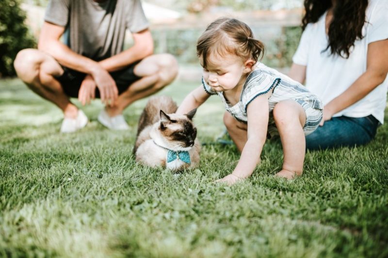 Veterin&aacute;ria fala sobre a rela&ccedil;&atilde;o entre beb&ecirc; e animais de estima&ccedil;&atilde;o – Foto: Unsplash/Divulga&ccedil;&atilde;o