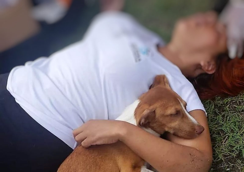 Acidente aconteceu na &uacute;ltima quinta-feira (17) e atitude do cachorro viralizou – Foto: CBMPE/Divulga&ccedil;&atilde;o/ND