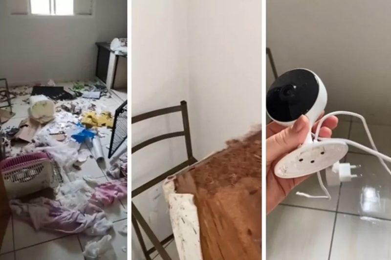 Cachorro saiu da baia em que se recuperava de uma cirurgia de castra&ccedil;&atilde;o e deixou um rastro de destrui&ccedil;&atilde;o – Foto: Arquivo Pessoal/Divulga&ccedil;&atilde;o