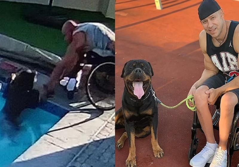 O animal estava aos prantos tentando sair da piscina quando Darren chegou para salv&aacute;-lo – Foto: Compass Media/ Reprodu&ccedil;&atilde;o