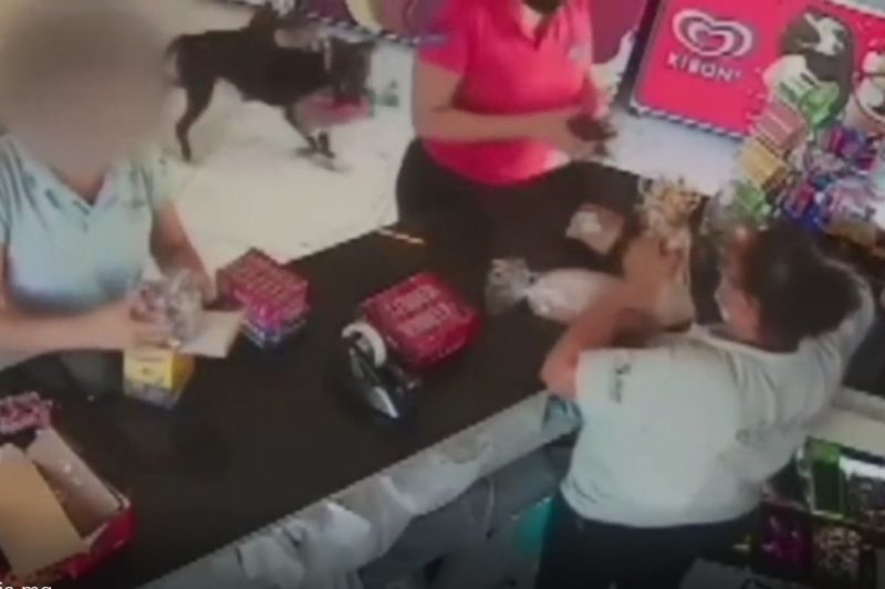 V&iacute;deo flagrou a a&ccedil;&atilde;o da quadrilha respons&aacute;vel pelo furto – Foto: Internet/Reprodu&ccedil;&atilde;o