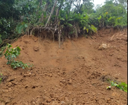 Barranco Jaraguá do Sul