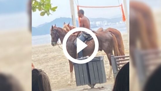 Açougue vendia carne de cavalo como se fosse de boi e polícia